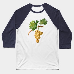 Vintage Botanical Illustration - Grape Vine 009 Baseball T-Shirt